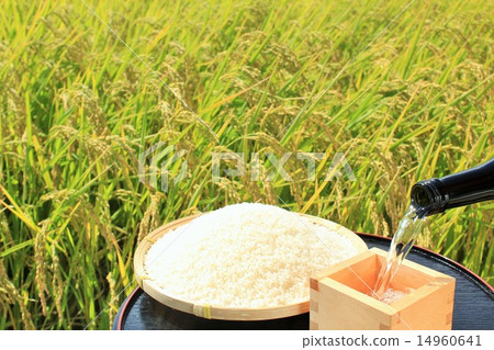 秋天緣故和新的米和米領域視圖 秋天緣故和新的米和米領域視圖 14960641