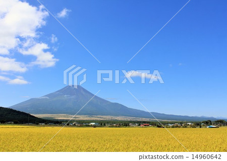 富士山和秋天的田園風光 14960642
