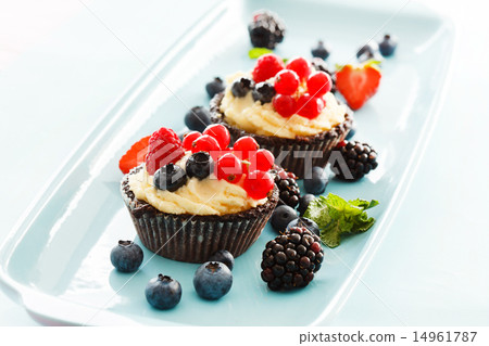 berries tart berries tart 14961787