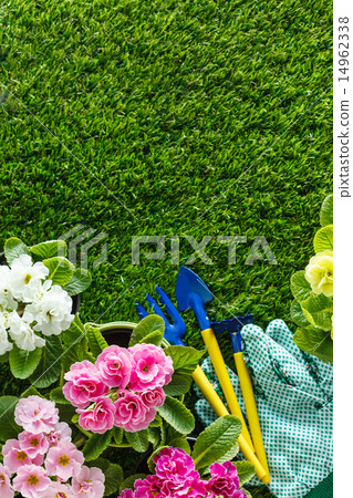 spring flowers 14962338
