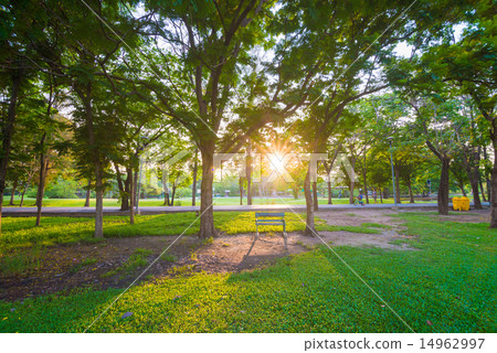 Green lawn in city park with bench 14962997