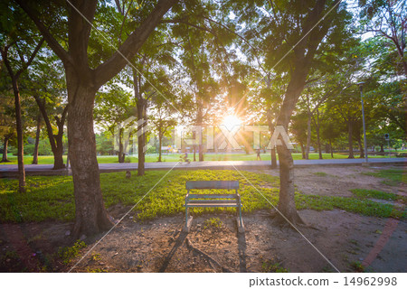 Green lawn in city park with bench Green lawn in city park with bench 14962998