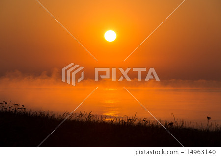Love coastal sea fog 14963140