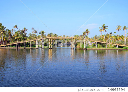 Allephy's backwater 14963394