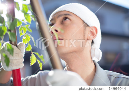 gardener, landscaper, person 14964044