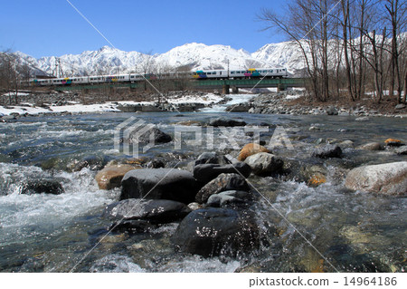 早春Otomi線 14964186