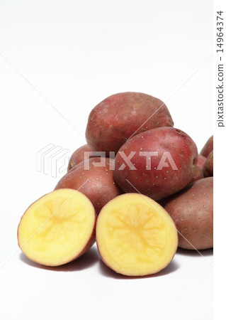 紅色皮膚的土豆 14964374