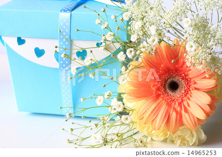 非洲菊和一個淡藍色的盒子禮物 非洲菊和一個淡藍色的盒子禮物 14965253