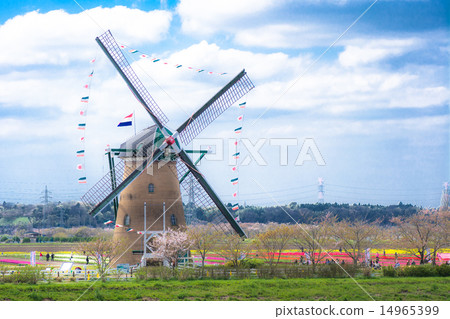 Sakura Furusato Square 14965399