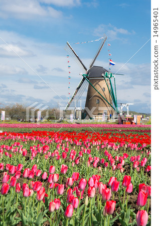 Sakura Furusato Square 14965401