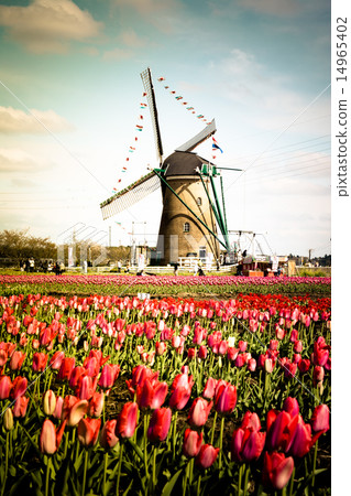 Sakura Furusato Square 14965402