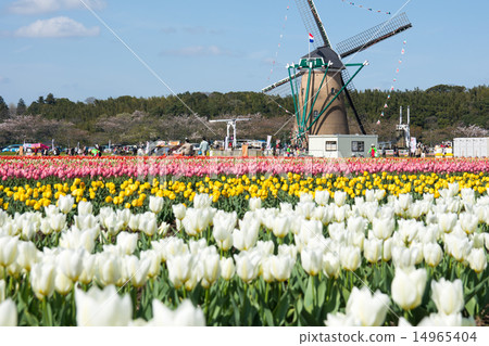 Sakura Furusato Square 14965404