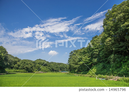 Mt. 14965796