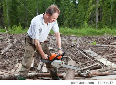 The man in wood saws a tree a chain saw The man in wood saws a tree a chain saw 14967912
