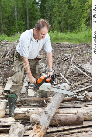 The man in wood saws a tree a chain saw The man in wood saws a tree a chain saw 14967913