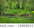 Landscape with green forest and river. 14968022