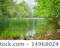 Landscape with river. 14968024