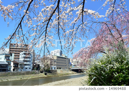 Landscape near Kojo-shi Gojo Landscape near Kojo-shi Gojo 14969488
