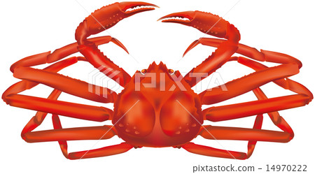雪蟹,蟹松針 雪蟹,蟹松針 14970222