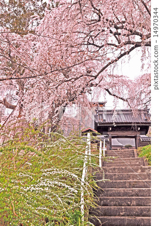 The entrance of Korinji 14970344