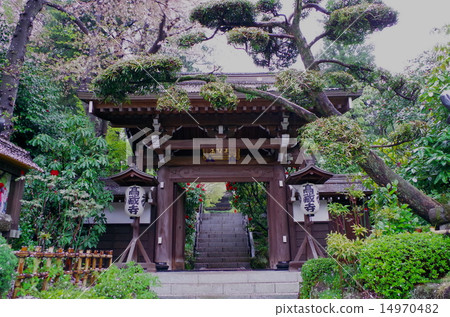 Kozoji塔 Kozoji塔 14970482