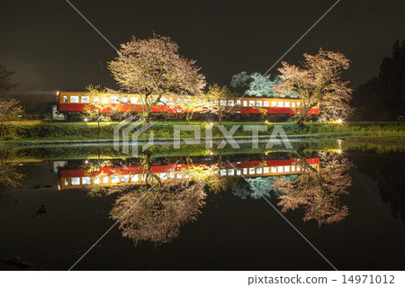 Cherry blossoms at night and Kominato railway 2 14971012