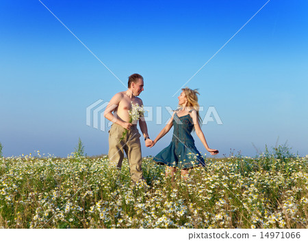 happy young pair in the field of chamomiles happy young pair in the field of chamomiles 14971066