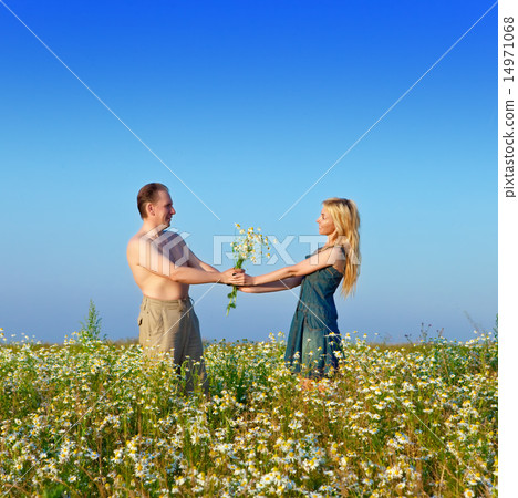 happy young pair in the field of chamomiles happy young pair in the field of chamomiles 14971068