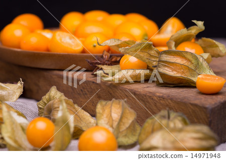 physalis and kumquat physalis and kumquat 14971948