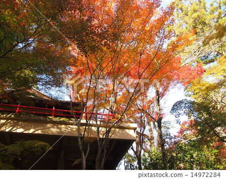 Kumano Kanonji now Kumano Kanonji now 14972284