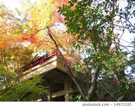 Kumano Kanonji now Kumano Kanonji now 14972285