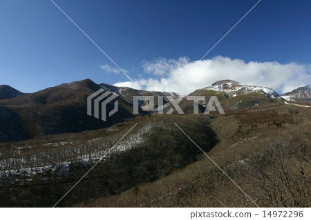 Winter's tea trail 14972296