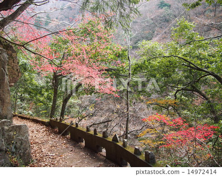 Sansho峽谷 14972414