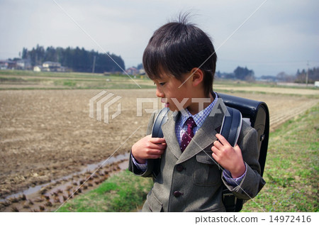 Elementary school students going to school 14972416