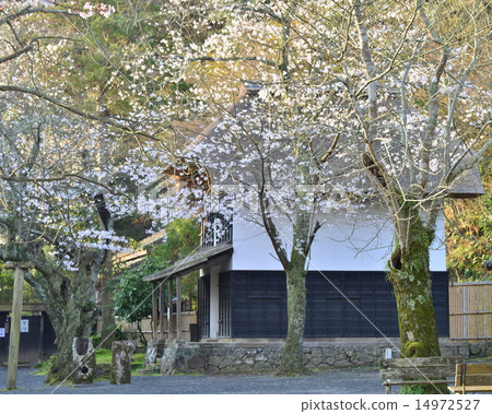 Egawa residence of Izu Bosan, Rice Known 14972527