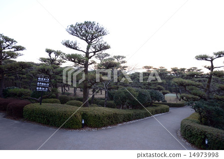 Miyazaki Phoenix Country Club 14973998