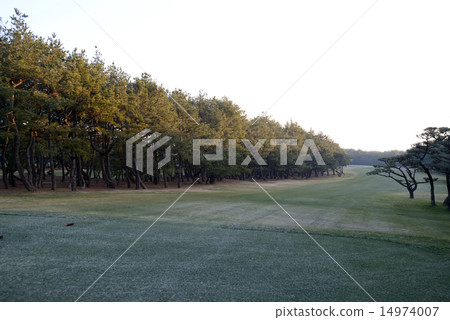 Miyazaki Phoenix Country Club 14974007