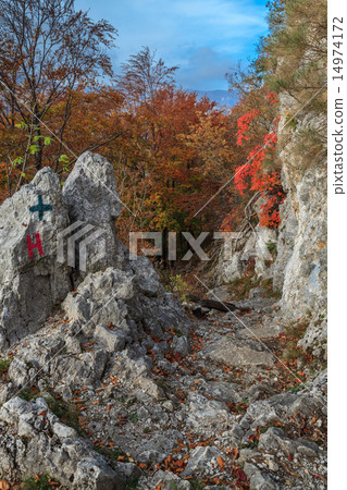 Tasnei Gorge, Romania 14974172