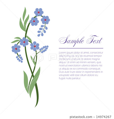 sprig of forget-me 14974267