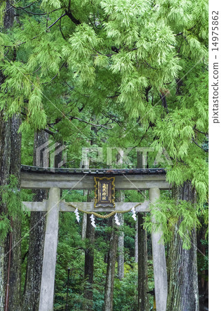Futaki shrine Torii (vertical) 14975862