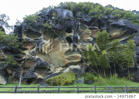 昆蟲瀝青 14975867