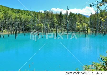 Fresh autumn sky and blue blue pond Fresh autumn sky and blue blue pond 14976120