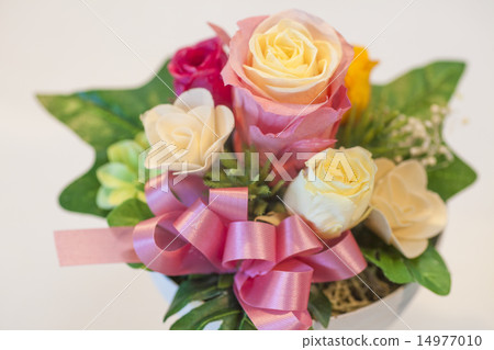 玫瑰的安排 14977010