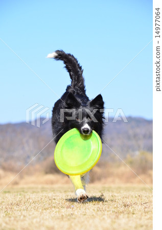 知道了♪ 14977064