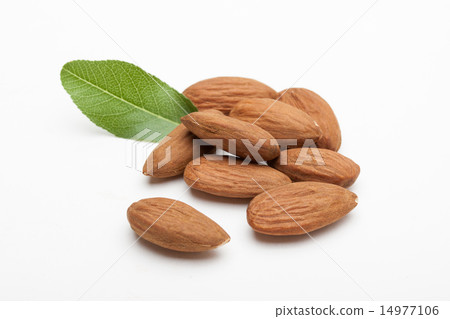 Almond 14977106