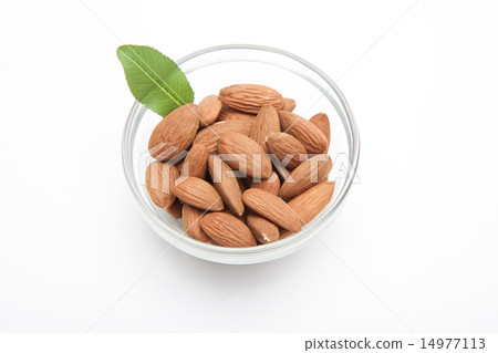 杏仁 14977113
