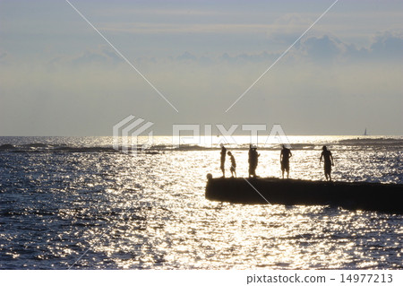 在夏威夷的海岸 在夏威夷的海岸 14977213