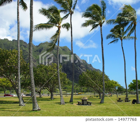 Hawaiian scenery (Kualoa) Hawaiian scenery (Kualoa) 14977768