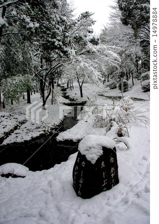 Snow Yokohama  -  Kohoku New Town  -  Sasane之路 14978884