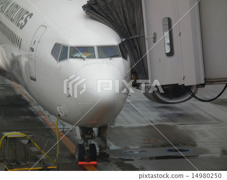 Haneda Airport First Passenger Terminal 14980250